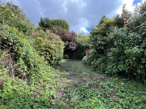 Photo 16- click for photo gallery